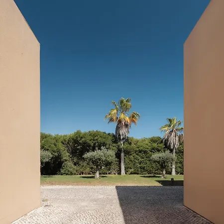 Salgados Premium By Da'home