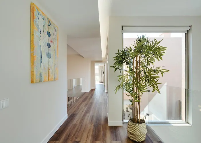 Salgados Premium By Da'home * 기아